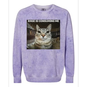 Rage Is Consuming Me Cat Colorblast Crewneck Sweatshirt