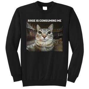 Rage Is Consuming Me Cat Sweatshirt