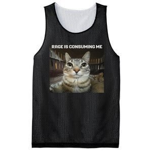 Rage Is Consuming Me Cat Mesh Reversible Basketball Jersey Tank