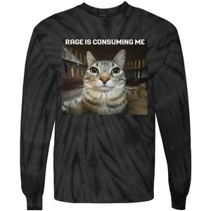 Rage Is Consuming Me Cat Tie-Dye Long Sleeve Shirt