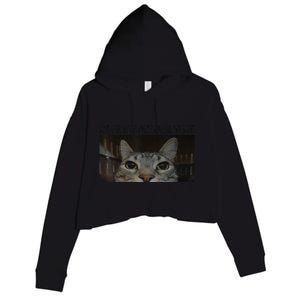 Rage Is Consuming Me Cat Meme Silly Staring Cat Funny Meme Crop Fleece Hoodie