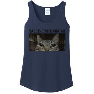 Rage Is Consuming Me Cat Meme Silly Staring Cat Funny Meme Ladies Essential Tank