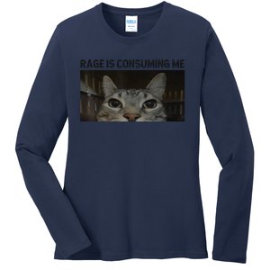 Rage Is Consuming Me Cat Meme Silly Staring Cat Funny Meme Ladies Long Sleeve Shirt