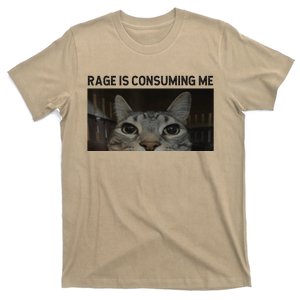 Rage Is Consuming Me Cat Meme Silly Staring Cat Funny Meme T-Shirt