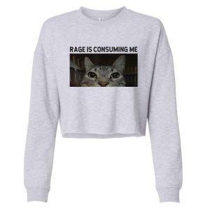 Rage Is Consuming Me Cat Meme Silly Staring Cat Funny Meme Cropped Pullover Crew