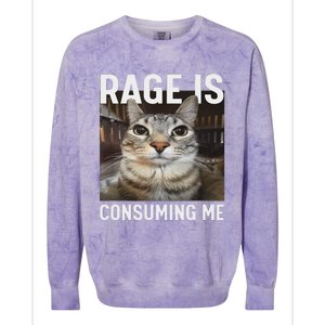 Rage Is Consuming Me Funny Cat Meme Colorblast Crewneck Sweatshirt