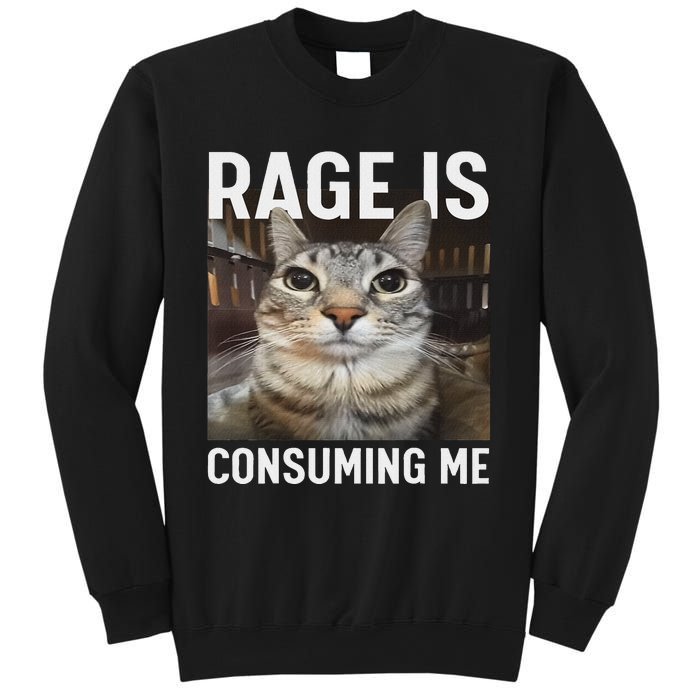 Rage Is Consuming Me Funny Cat Meme Sweatshirt