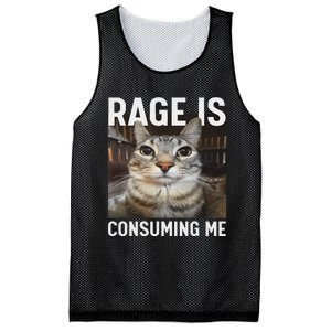 Rage Is Consuming Me Funny Cat Meme Mesh Reversible Basketball Jersey Tank