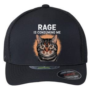 Rage Is Consuming Me Silly Staring Cat Meme Flexfit Unipanel Trucker Cap