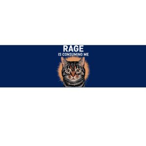 Rage Is Consuming Me Silly Staring Cat Meme Bumper Sticker