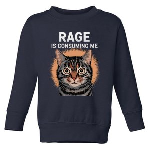 Rage Is Consuming Me Silly Staring Cat Meme Toddler Sweatshirt