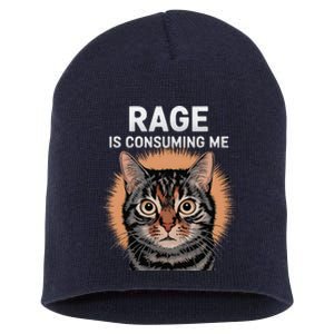 Rage Is Consuming Me Silly Staring Cat Meme Short Acrylic Beanie