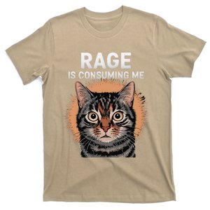 Rage Is Consuming Me Silly Staring Cat Meme T-Shirt