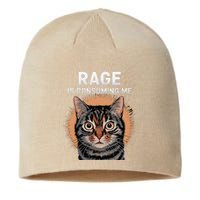 Rage Is Consuming Me Silly Staring Cat Meme Sustainable Beanie