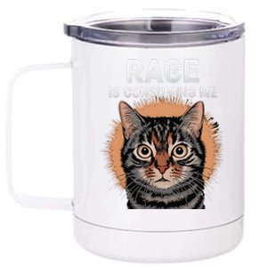 Rage Is Consuming Me Silly Staring Cat Meme 12 oz Stainless Steel Tumbler Cup