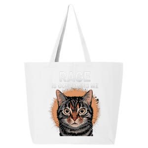 Rage Is Consuming Me Silly Staring Cat Meme 25L Jumbo Tote