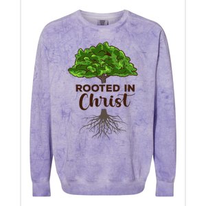 Rooted In Christ Theology Jesus Christ Christian Faith Colorblast Crewneck Sweatshirt