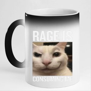 Rage Is Consuming Me Funny Cat Meme 11oz Black Color Changing Mug