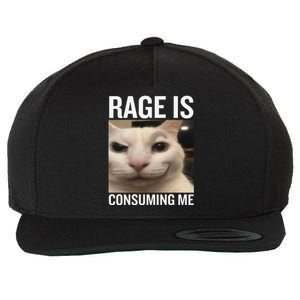 Rage Is Consuming Me Funny Cat Meme Wool Snapback Cap