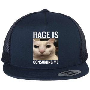 Rage Is Consuming Me Funny Cat Meme Flat Bill Trucker Hat