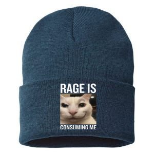 Rage Is Consuming Me Funny Cat Meme Sustainable Knit Beanie