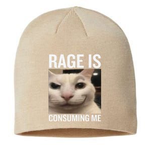 Rage Is Consuming Me Funny Cat Meme Sustainable Beanie