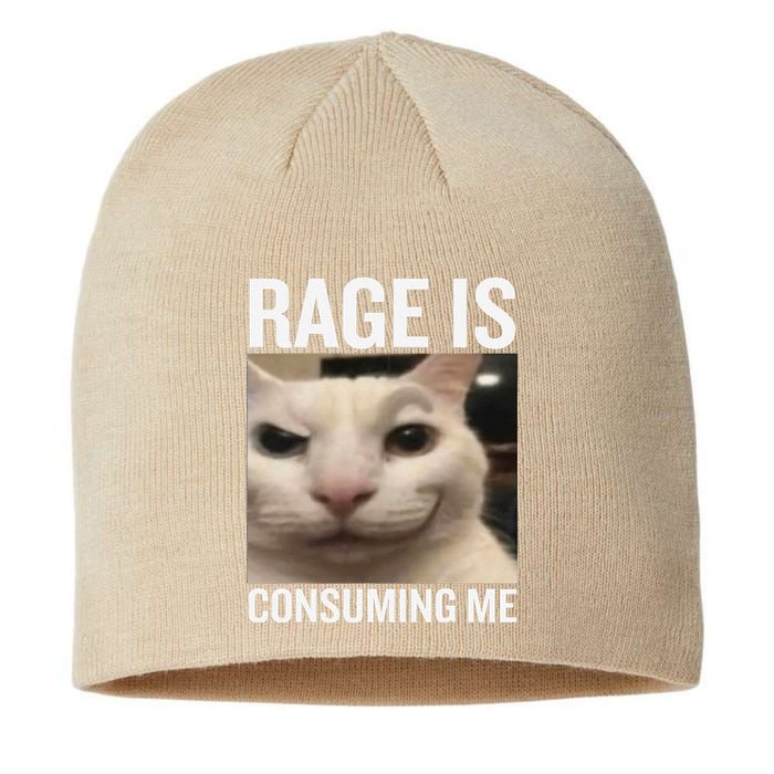 Rage Is Consuming Me Funny Cat Meme Sustainable Beanie