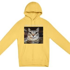 Rage Is Consuming Me Silly Staring Cat Meme Gift Premium Pullover Hoodie