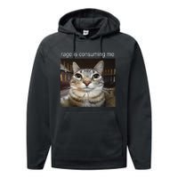 Rage Is Consuming Me Silly Staring Cat Meme Gift Performance Fleece Hoodie