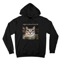 Rage Is Consuming Me Silly Staring Cat Meme Gift Hoodie