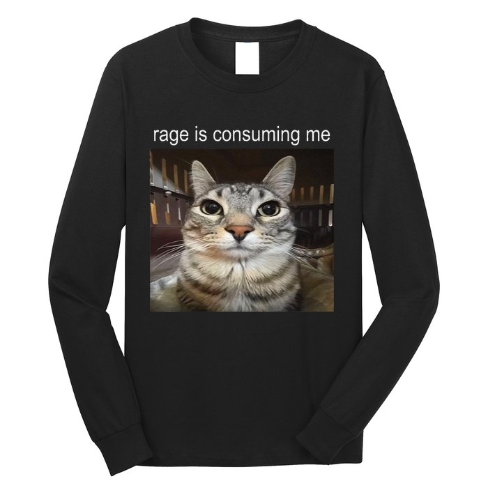 Rage Is Consuming Me Silly Staring Cat Meme Gift Long Sleeve Shirt