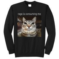 Rage Is Consuming Me Silly Staring Cat Meme Gift Sweatshirt