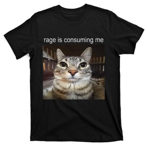 Rage Is Consuming Me Silly Staring Cat Meme Gift T-Shirt