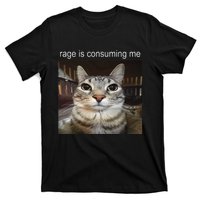 Rage Is Consuming Me Silly Staring Cat Meme Gift T-Shirt