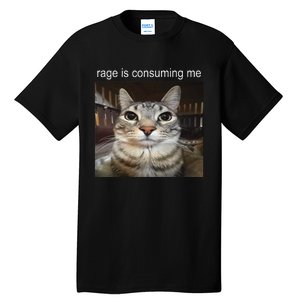 Rage Is Consuming Me Silly Staring Cat Meme Gift Tall T-Shirt