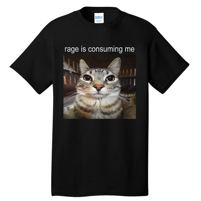 Rage Is Consuming Me Silly Staring Cat Meme Gift Tall T-Shirt