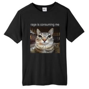 Rage Is Consuming Me Silly Staring Cat Meme Gift Tall Fusion ChromaSoft Performance T-Shirt