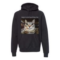 Rage Is Consuming Me Silly Staring Cat Meme Gift Premium Hoodie