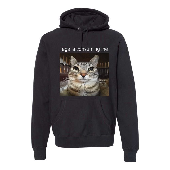 Rage Is Consuming Me Silly Staring Cat Meme Gift Premium Hoodie