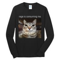 Rage Is Consuming Me Silly Staring Cat Meme Gift Tall Long Sleeve T-Shirt