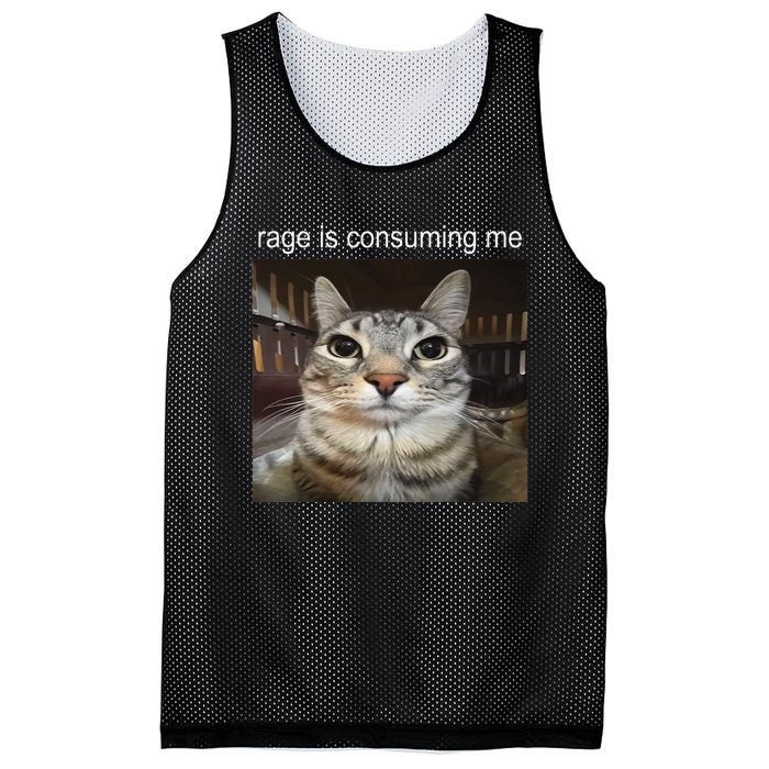 Rage Is Consuming Me Silly Staring Cat Meme Gift Mesh Reversible Basketball Jersey Tank