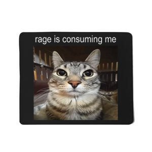 Rage Is Consuming Me Silly Staring Cat Meme Gift Mousepad