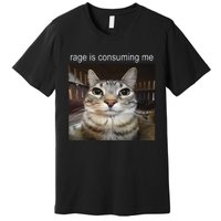 Rage Is Consuming Me Silly Staring Cat Meme Gift Premium T-Shirt