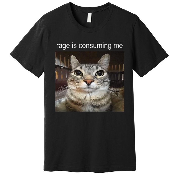 Rage Is Consuming Me Silly Staring Cat Meme Gift Premium T-Shirt