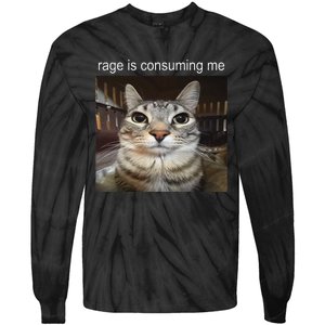 Rage Is Consuming Me Silly Staring Cat Meme Gift Tie-Dye Long Sleeve Shirt