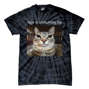 Rage Is Consuming Me Silly Staring Cat Meme Gift Tie-Dye T-Shirt