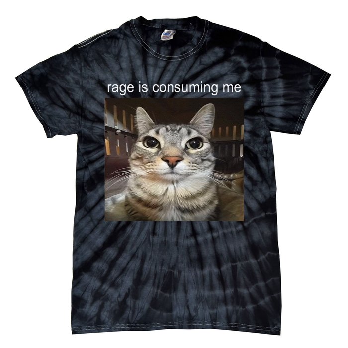 Rage Is Consuming Me Silly Staring Cat Meme Gift Tie-Dye T-Shirt