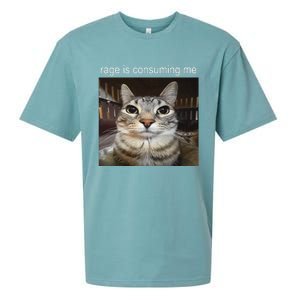 Rage Is Consuming Me Silly Staring Cat Meme Gift Sueded Cloud Jersey T-Shirt