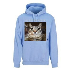 Rage Is Consuming Me Silly Staring Cat Meme Gift Unisex Surf Hoodie