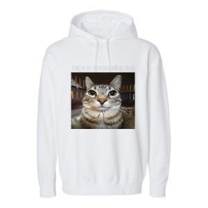 Rage Is Consuming Me Silly Staring Cat Meme Gift Garment-Dyed Fleece Hoodie